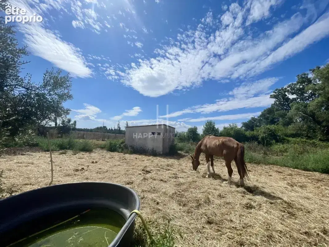 Propriété sur 2,75 hectares à Saint Martin de Crau - photo 12
