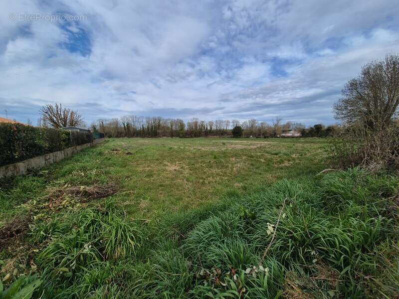 Terrain à FRONTENAY-ROHAN-ROHAN
