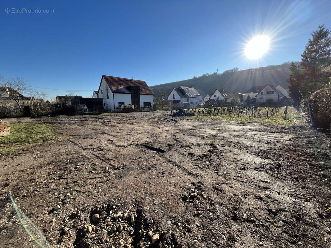 Terrain à WINTZENHEIM