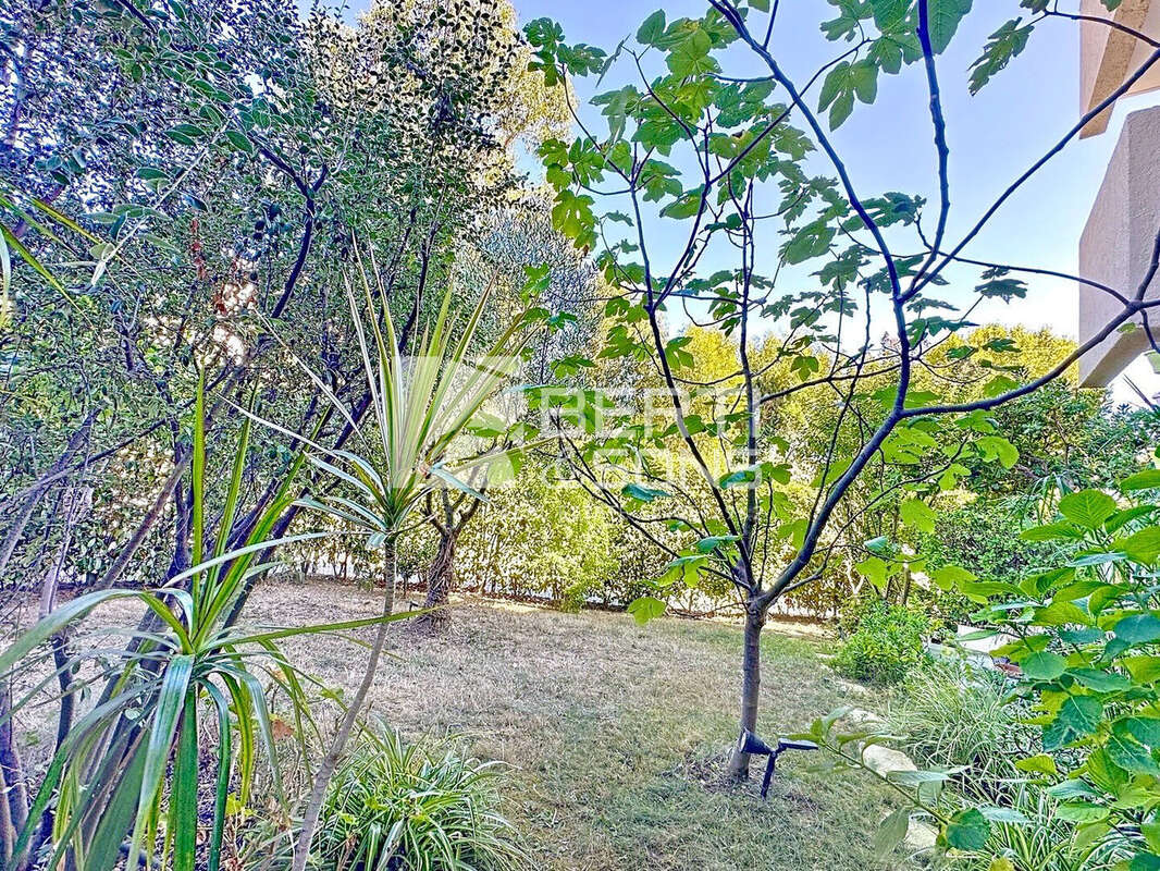 Exclusivite  - appartement 2 pieces renove - terrasse - jardin 100m² - parking - cave - photo 8