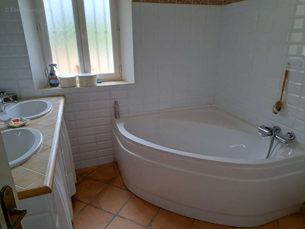 Propriete avec maison-piscine-terrain-local-bois - photo 12