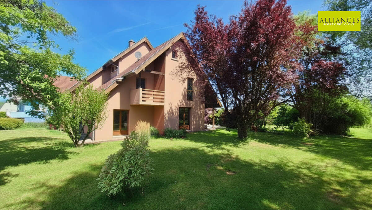 Maison à DANNEMARIE