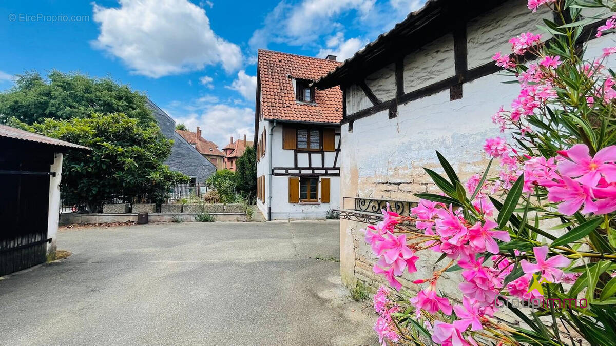 Maison à SCHILTIGHEIM