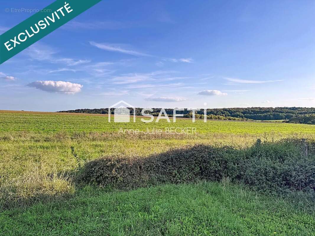 Photo 4 - Maison à FARSCHVILLER