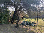 Terrain à CAUMONT-SUR-DURANCE