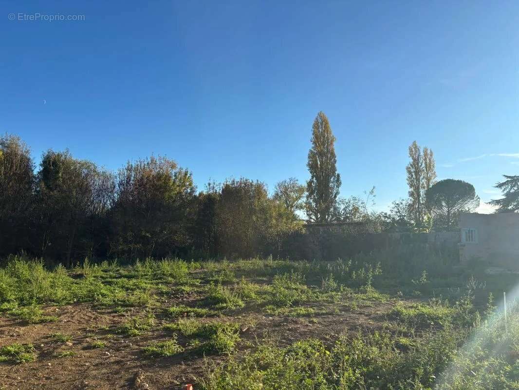 Terrain à TOURNEFEUILLE