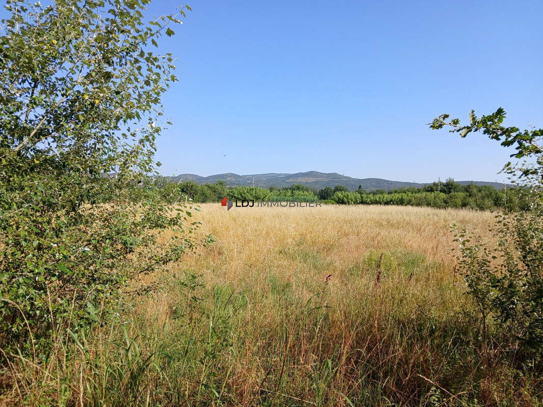 Terrain 19445 m² à Nefiach  - photo 4