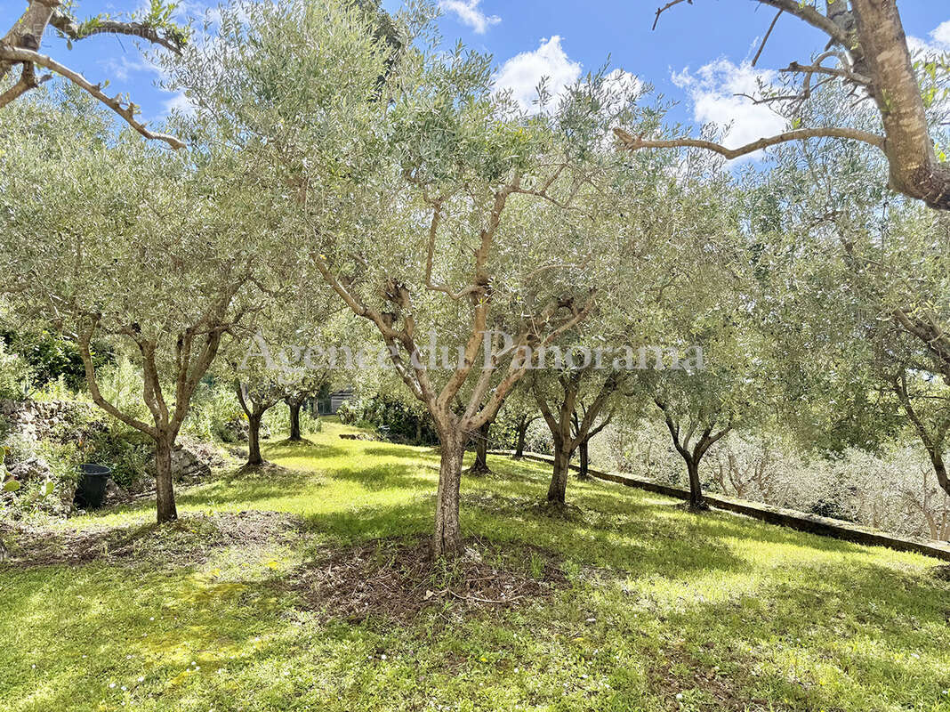 Magnifique propriete lovee dans un ecrin de verdure - photo 10