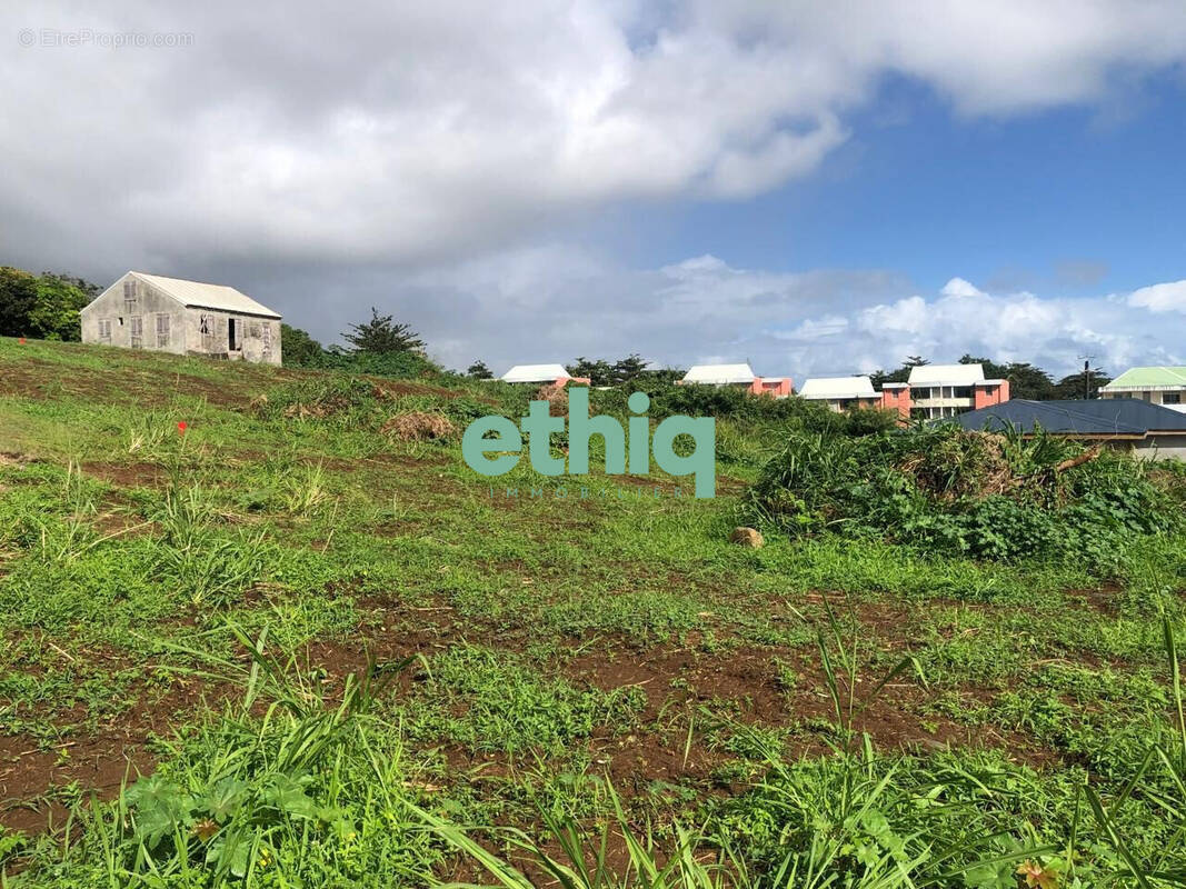 Terrain à CAPESTERRE-BELLE-EAU