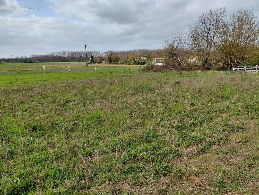 Terrain à VERVANT