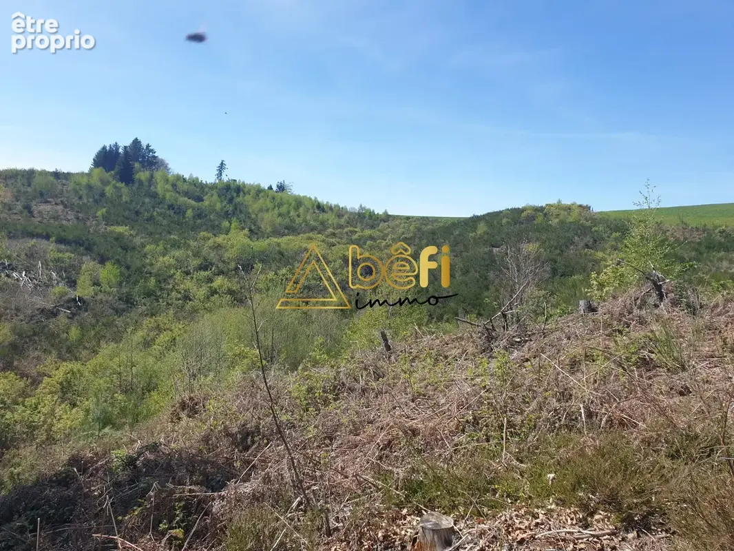 Photo Terrain à Messeix au prix de 15 000€