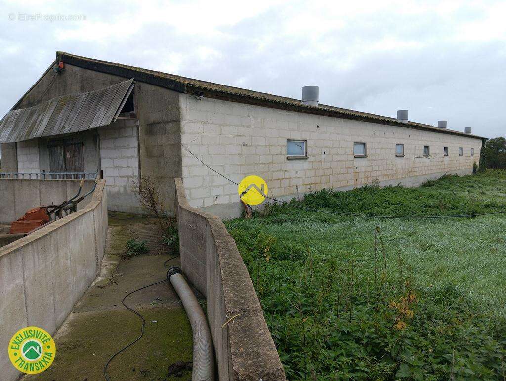 Bâtiments 1360m2  à côté de D1 - photo 7