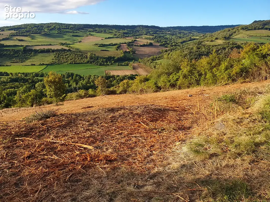 Photo Terrain à Saint-Vincent au prix de 95 000€