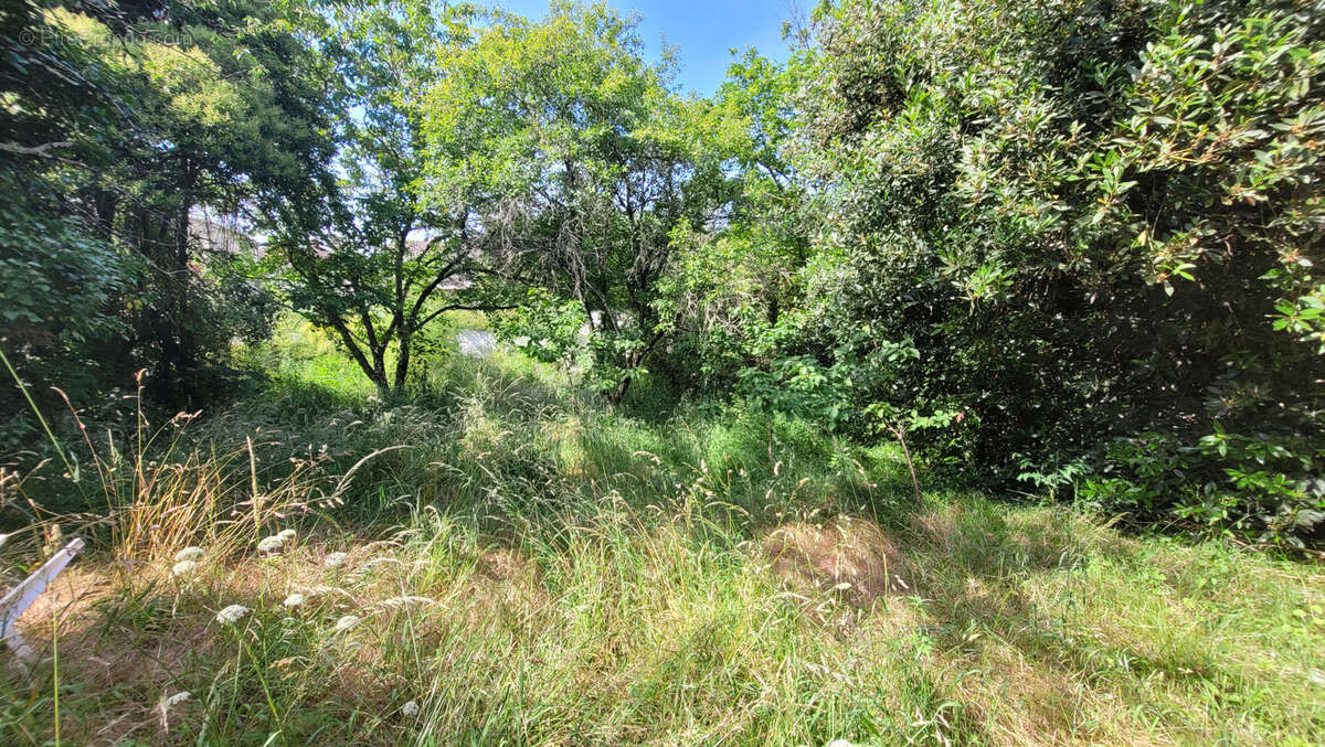 Damazan, centre ville terrain avec bâtiment - photo 6