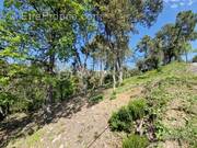 Terrain à LES ADRETS-DE-L&#039;ESTEREL