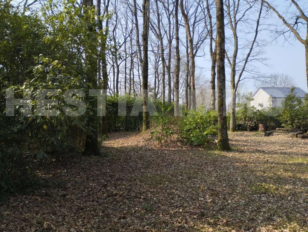 IMG_20230303_140939 - Terrain à ORVAULT