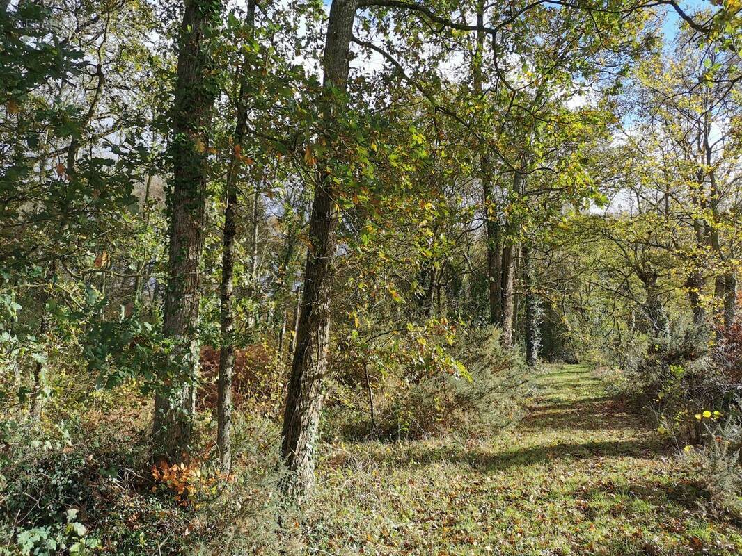Terrain à SAINT-BRIEUC