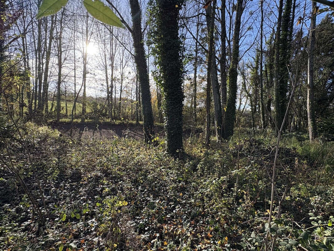 Maison à SAINT-GERMAIN-LE-VIEUX