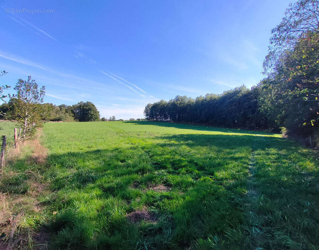 Terrain à SEREILHAC