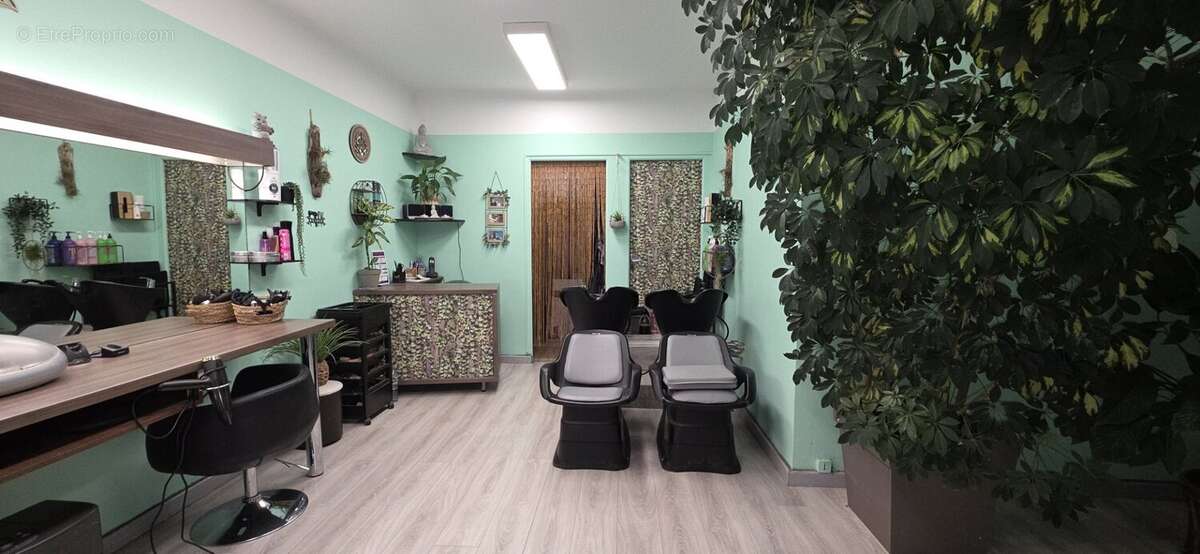 Commerce à TOURRETTE-LEVENS