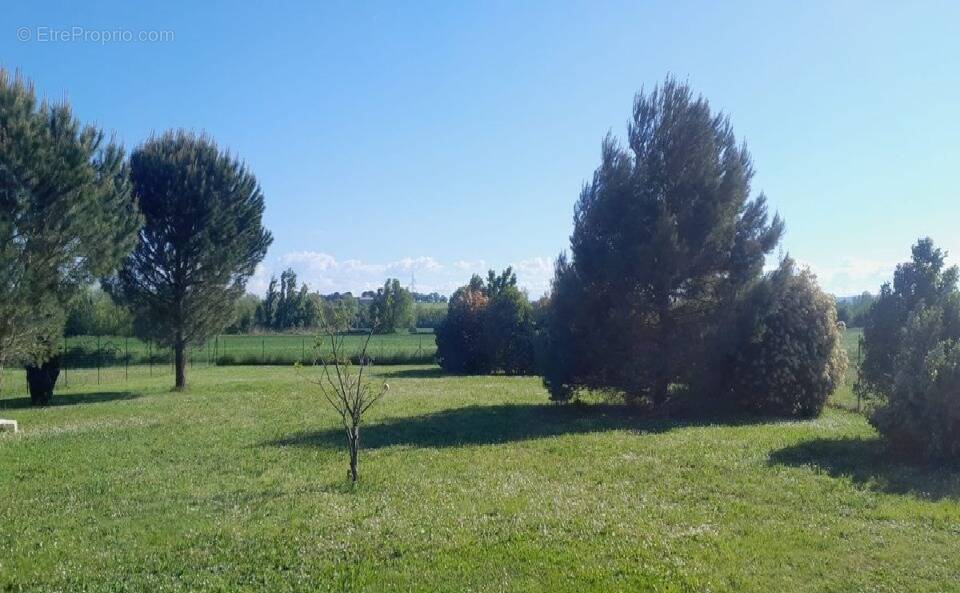 Terrain à VILLEPINTE