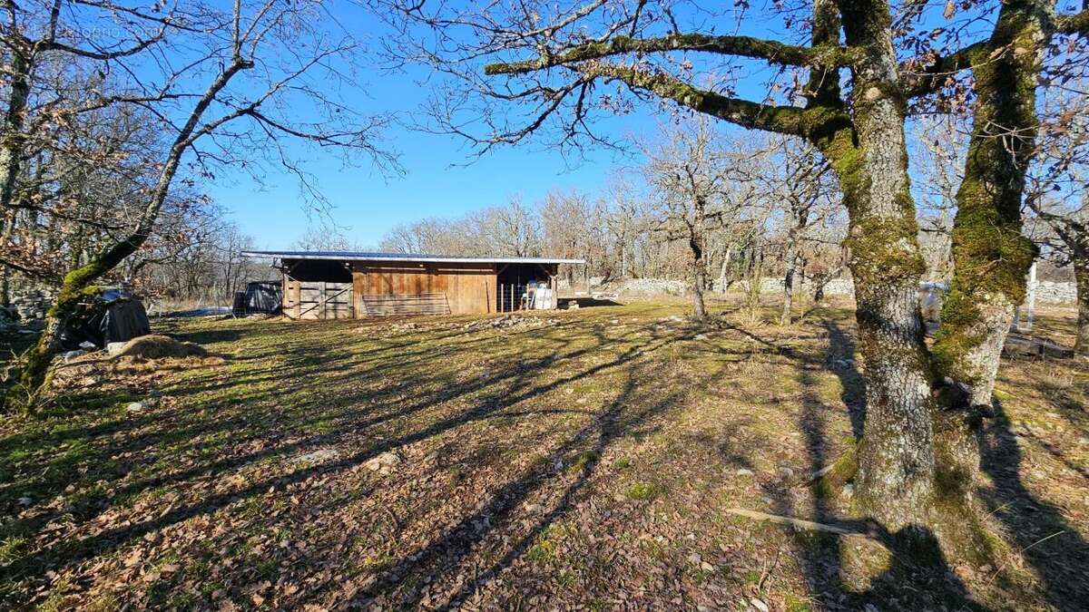 Terrain à SAINT-CHELS