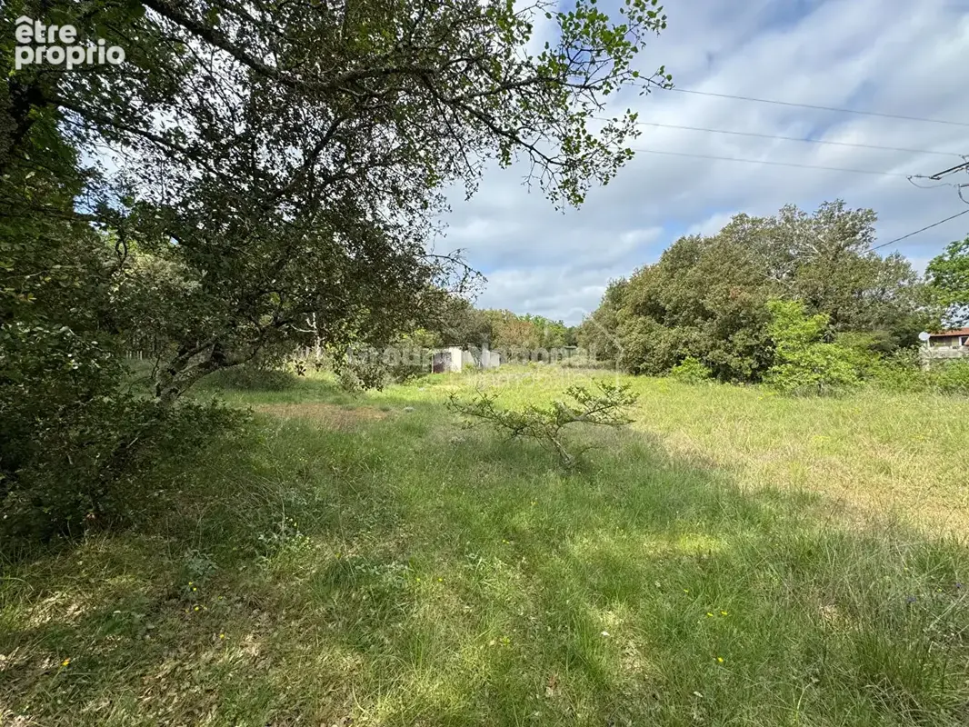 Maison à rénover sur un vaste terrain boisé de 5 360 m² - photo 10
