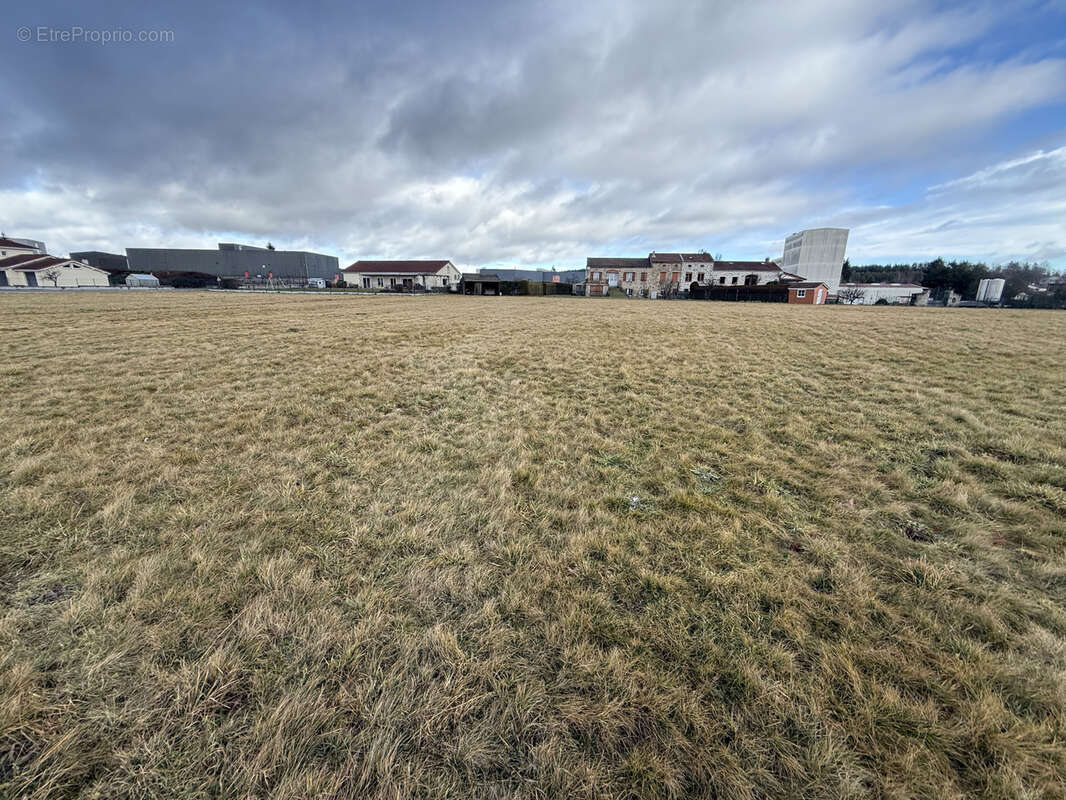 Terrain à SAINT-PAL-DE-MONS
