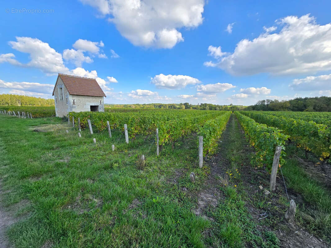 Terrain à FONTGUENAND