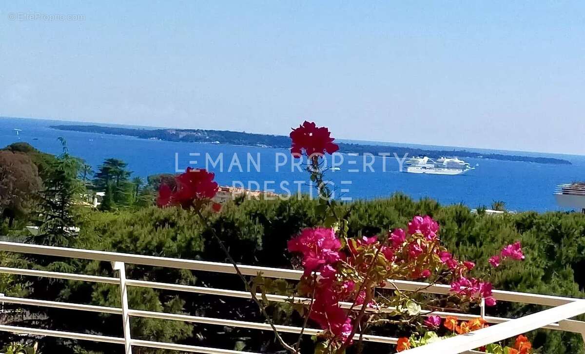 Appartement à CANNES