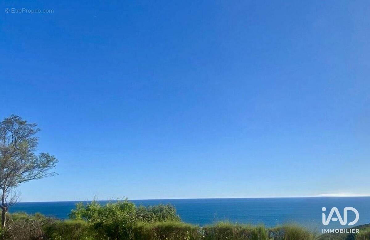 Photo 1 - Appartement à BANYULS-SUR-MER