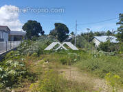 Terrain à SAINT-LOUIS