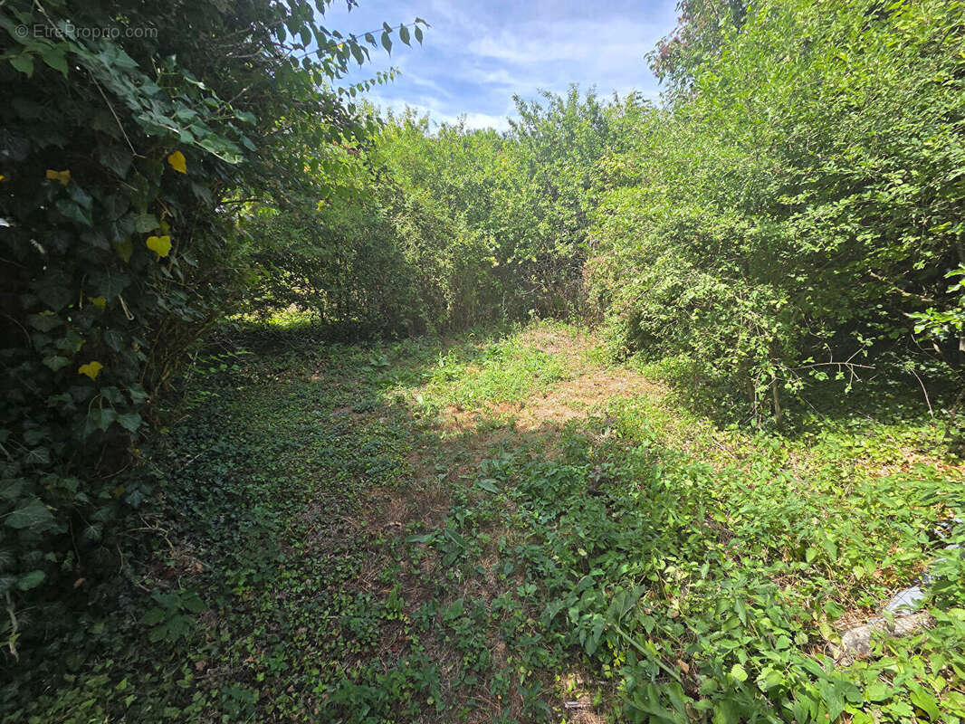 Maison  4 pièces -  91 m2 - Terrain clos 1100 m² - photo 11
