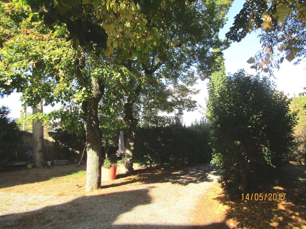 Mas au pied de la cité de Carcassonne - photo 10