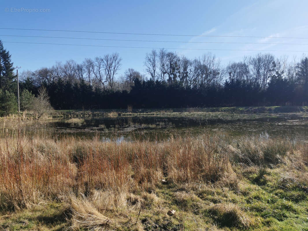 Maison à PRUNIERS-EN-SOLOGNE