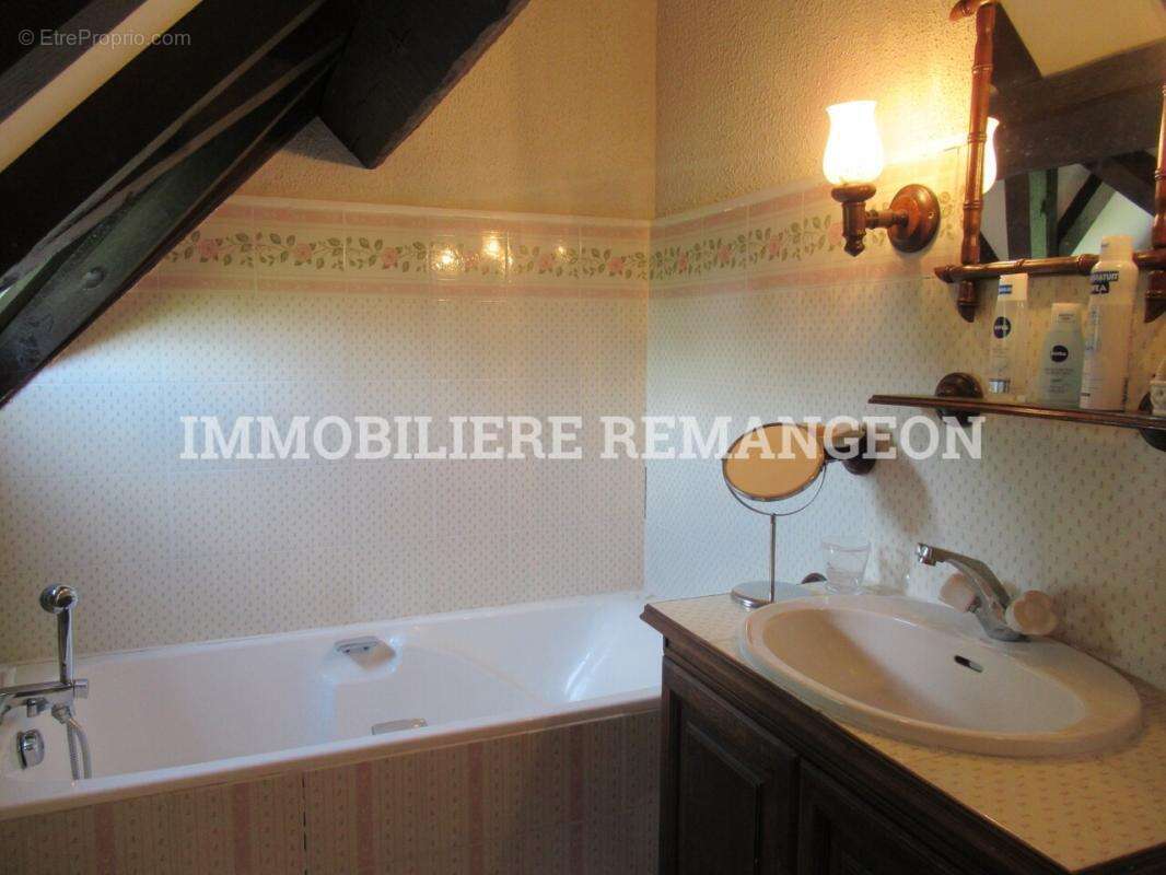 Maison à MENESTREAU-EN-VILLETTE
