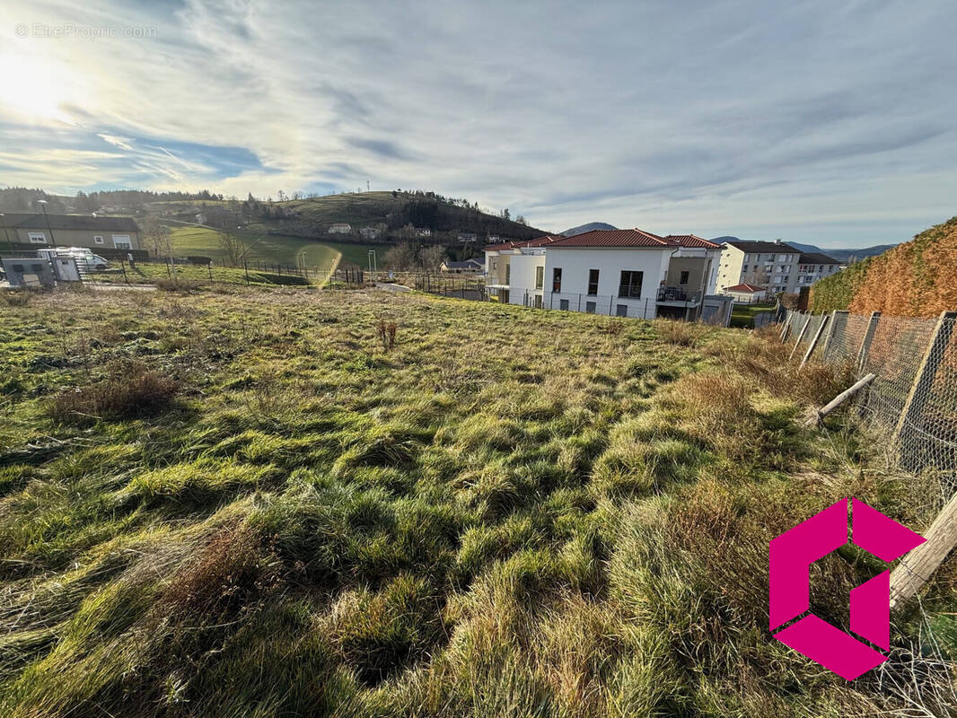 Terrain à YSSINGEAUX