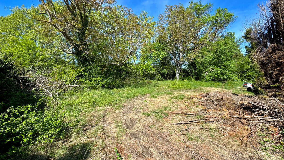 Terrain à ENTRAIGUES-SUR-LA-SORGUE