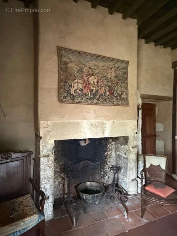 MARCIAC(32): ancienne SEIGNEURIE avec BEAU CHATEAU XIV sur 3,5ha, cachée, au bout du chemin, sans voisin, en campagne, 500m2 hab - photo 26