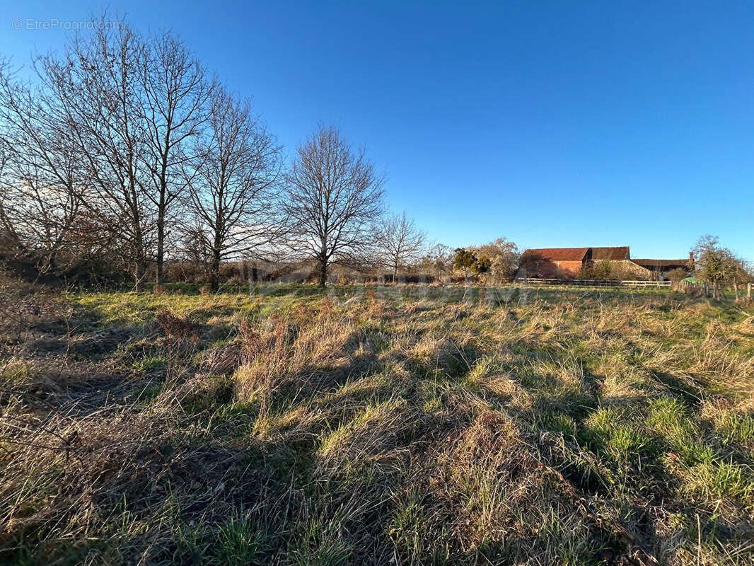 Terrain à MOULINS-SUR-OUANNE
