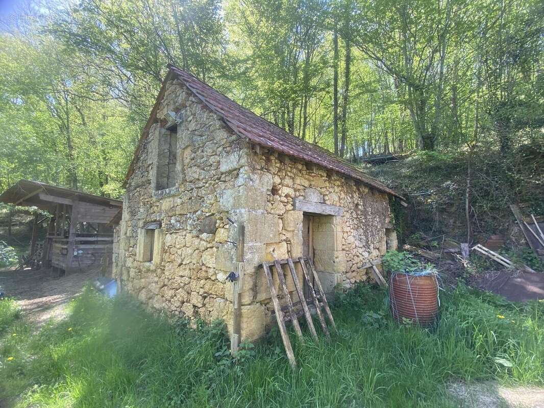 Grange four à pain - Maison à LES EYZIES-DE-TAYAC-SIREUIL