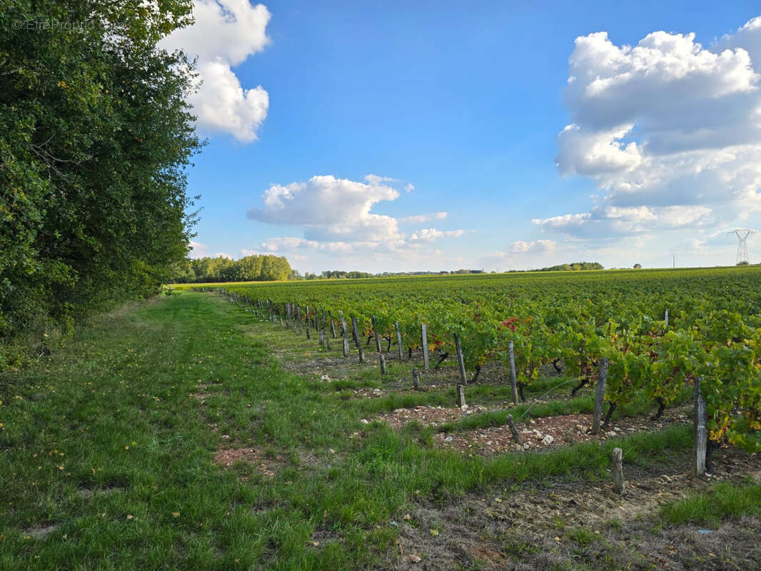 Terrain à FONTGUENAND