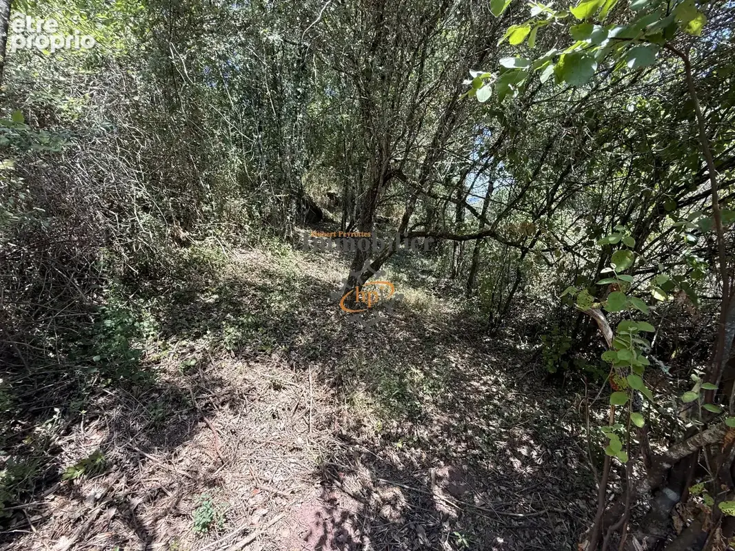 Vente Mazet sur 1,29 hectares de terrains bordé par ruisseau Saint Affrique, - photo 17