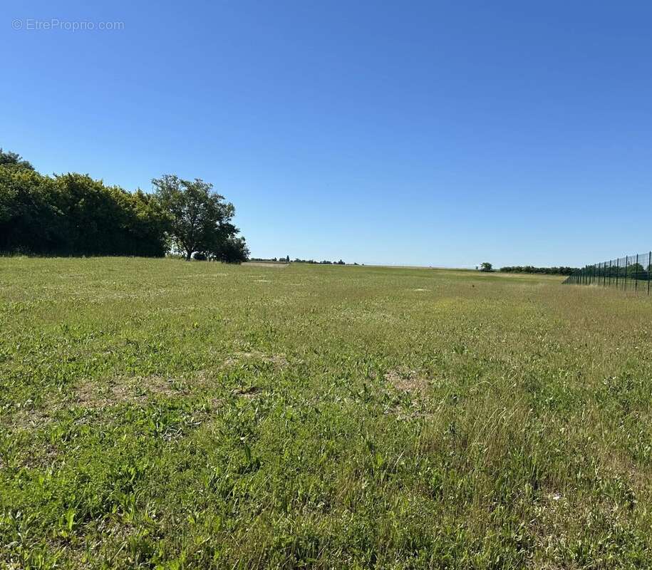 Terrain à SAINT-CLAR