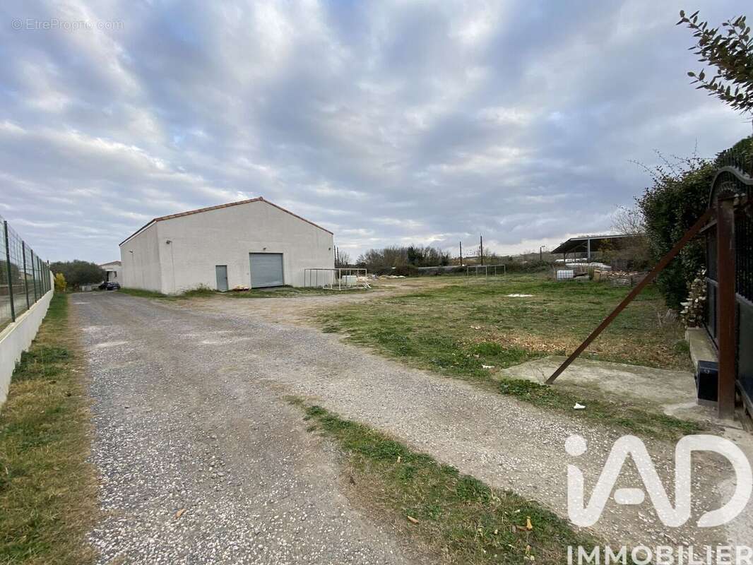 Photo 3 - Maison à COLOMBIERS