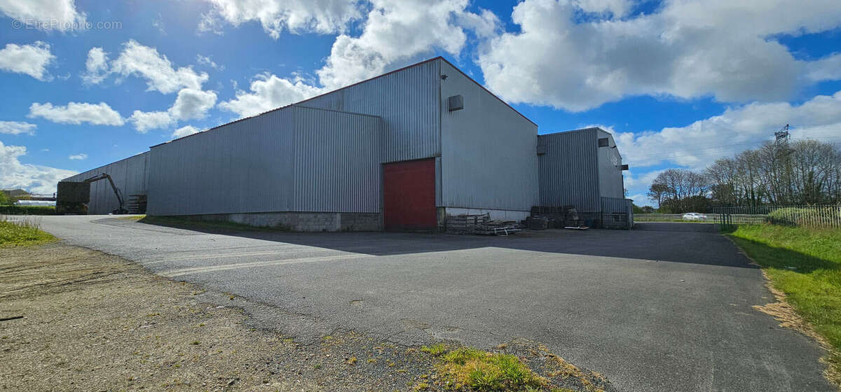 Commerce à LA FORET-FOUESNANT