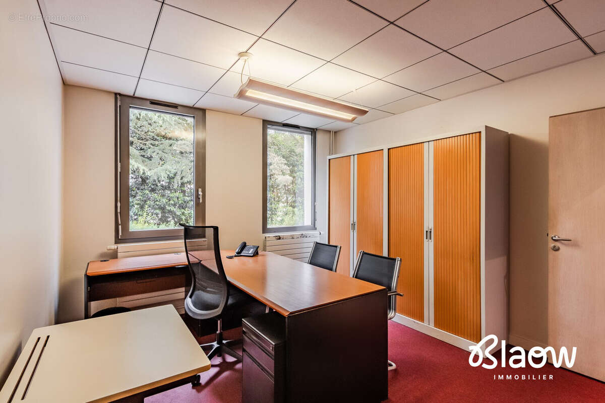 Maison 345 m² à Saint-Etienne  - photo 4