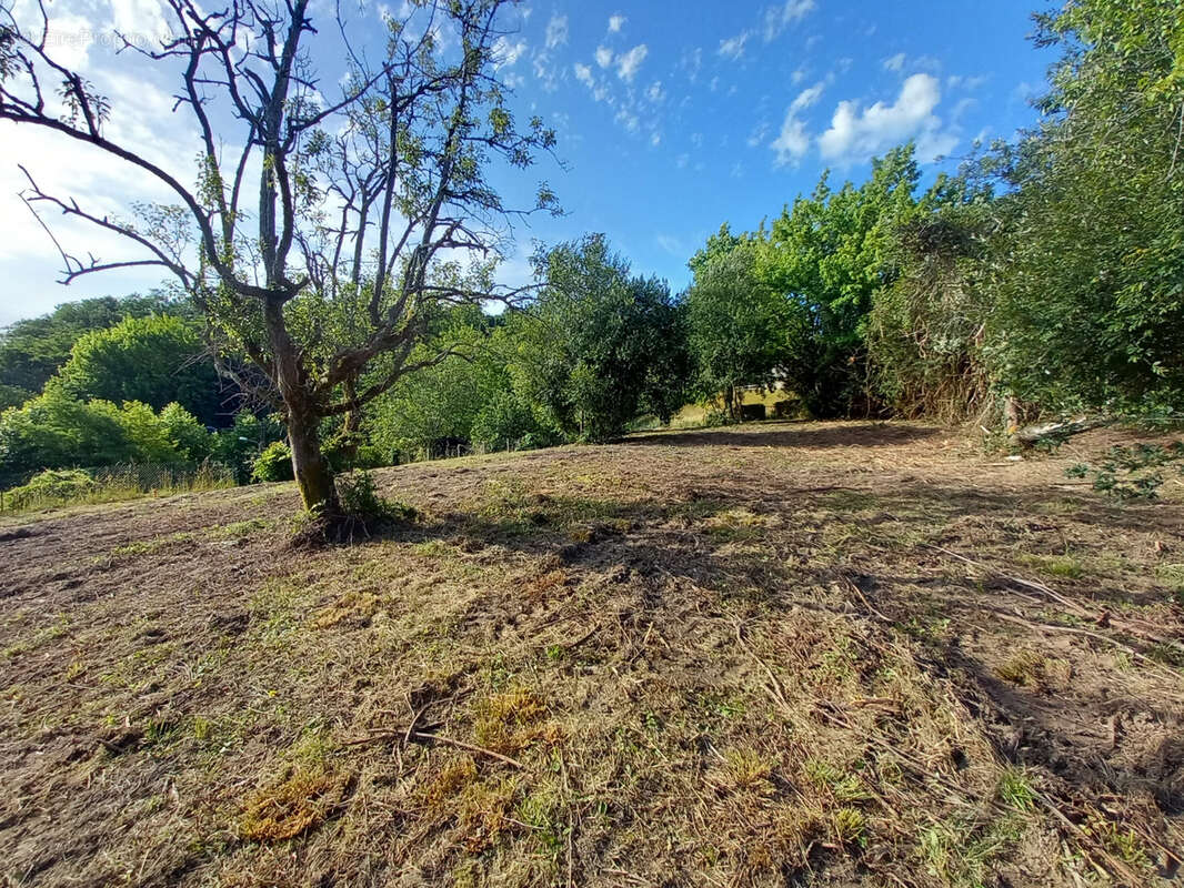 Urt vue Adour exceptionelle 1528m2 - photo 4