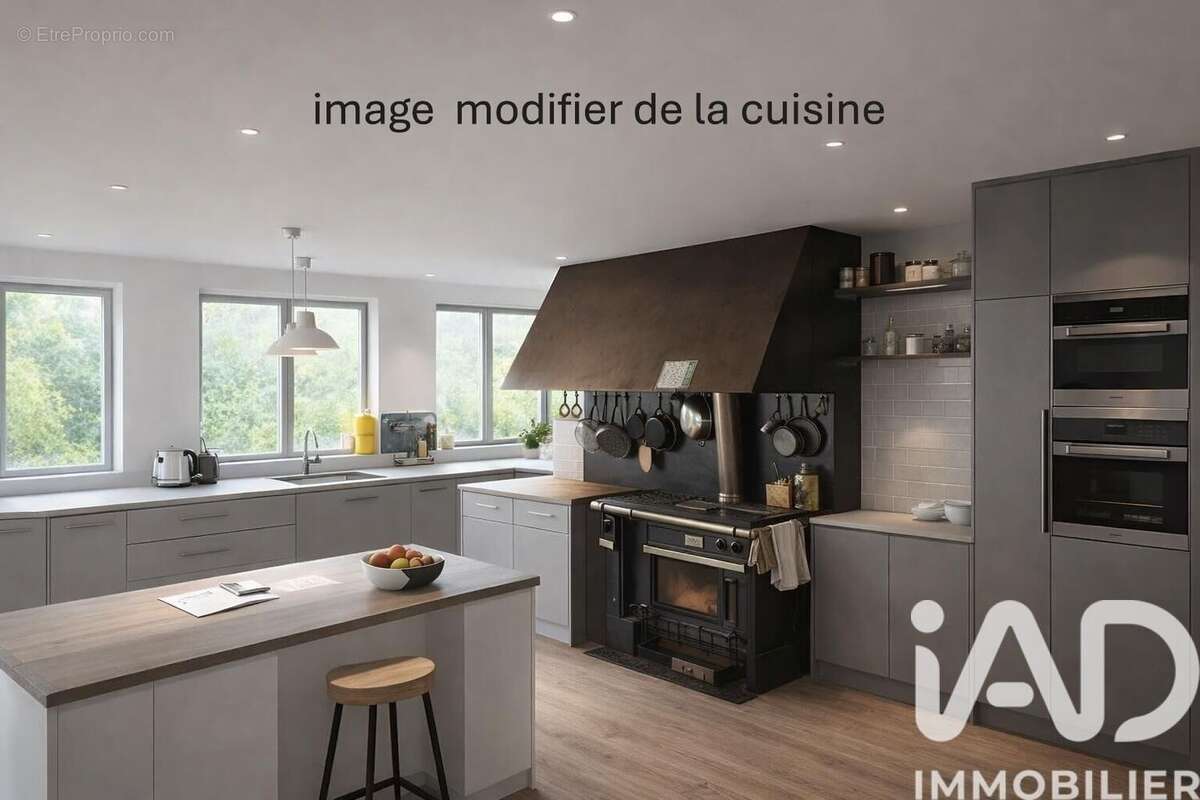Maison 495 m² à Neuille-Le-Lierre  - photo 6