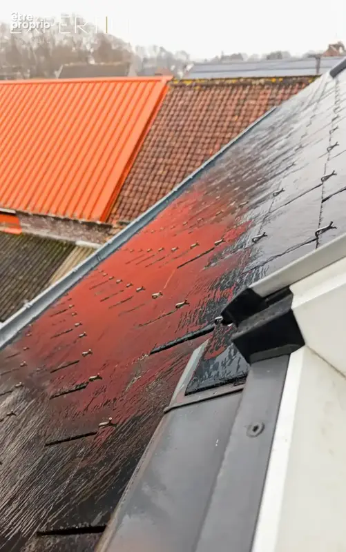 Immeuble : opportunité d'investissement - photo 7